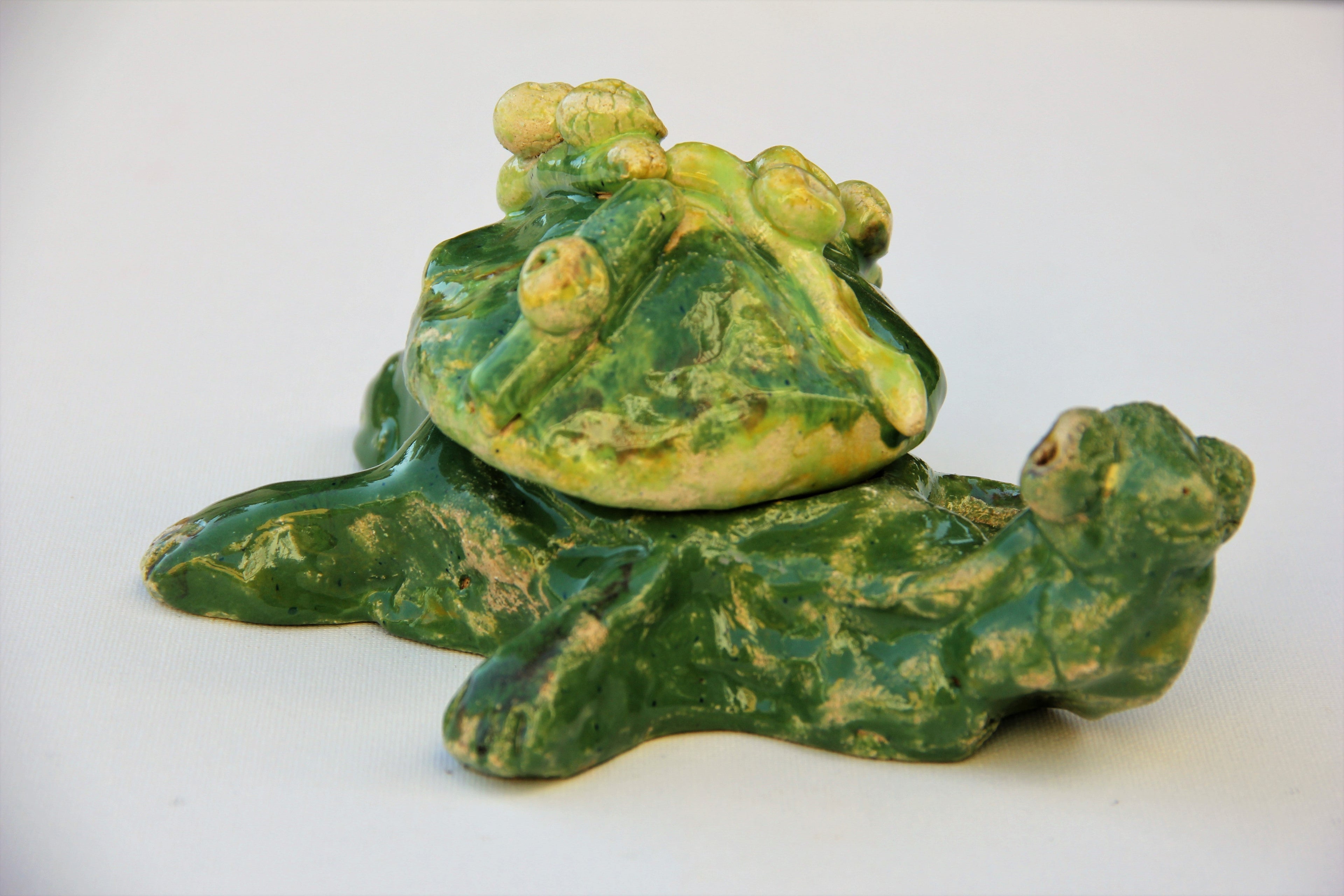 Tartarugas