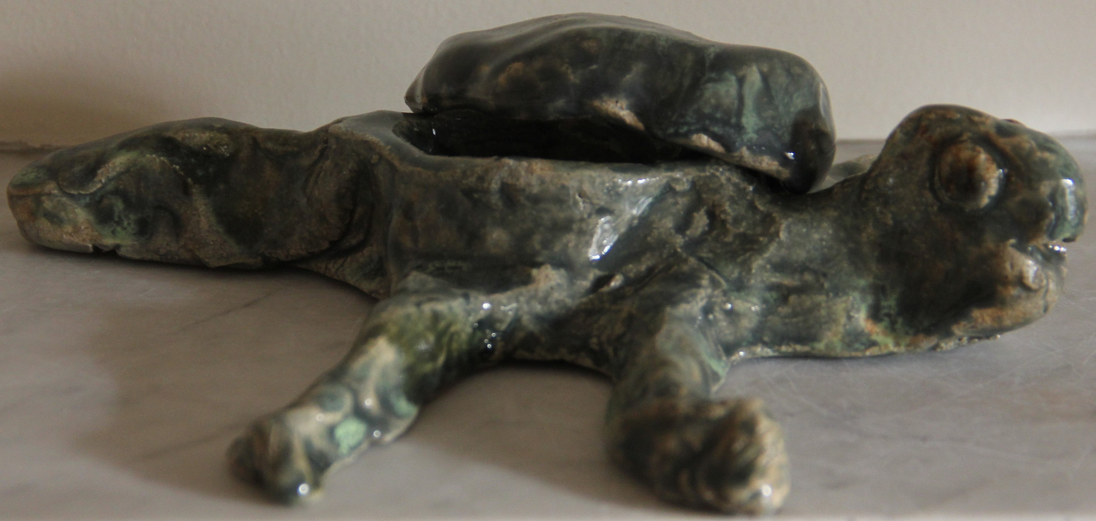 Caixa tartaruga