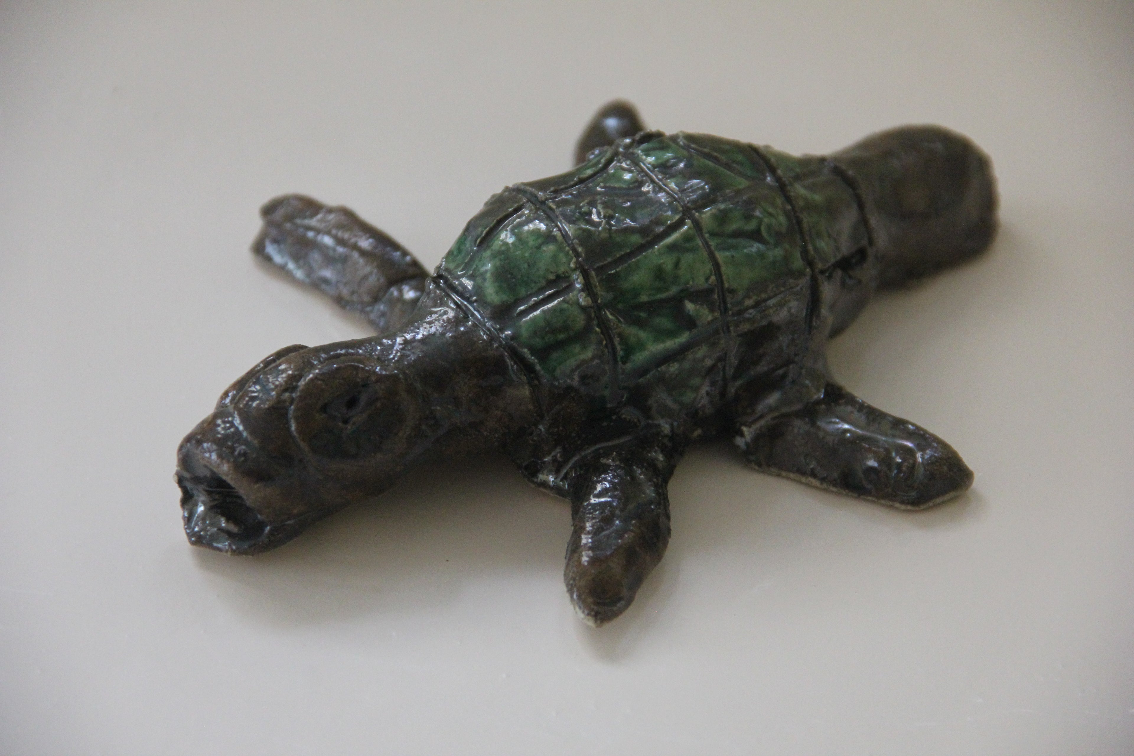 Tartaruga
