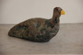 Pato lago