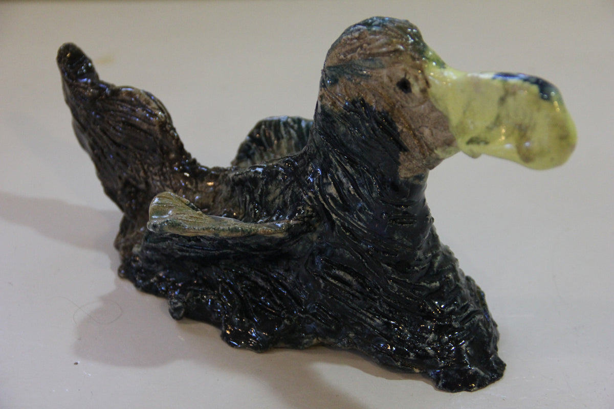 Pato azul