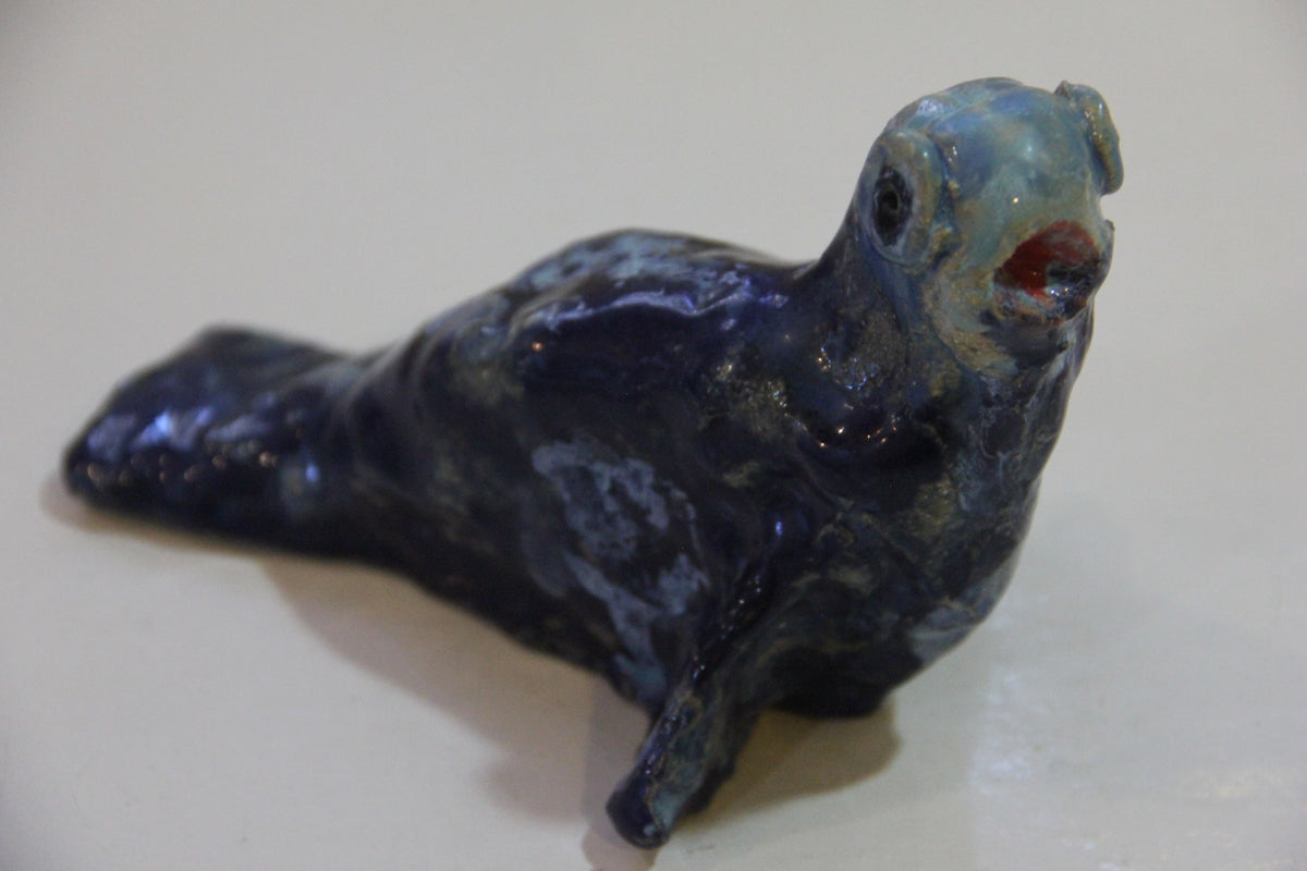 Foca