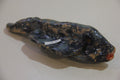 Peixe escuro