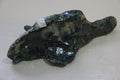 Peixe corcunda