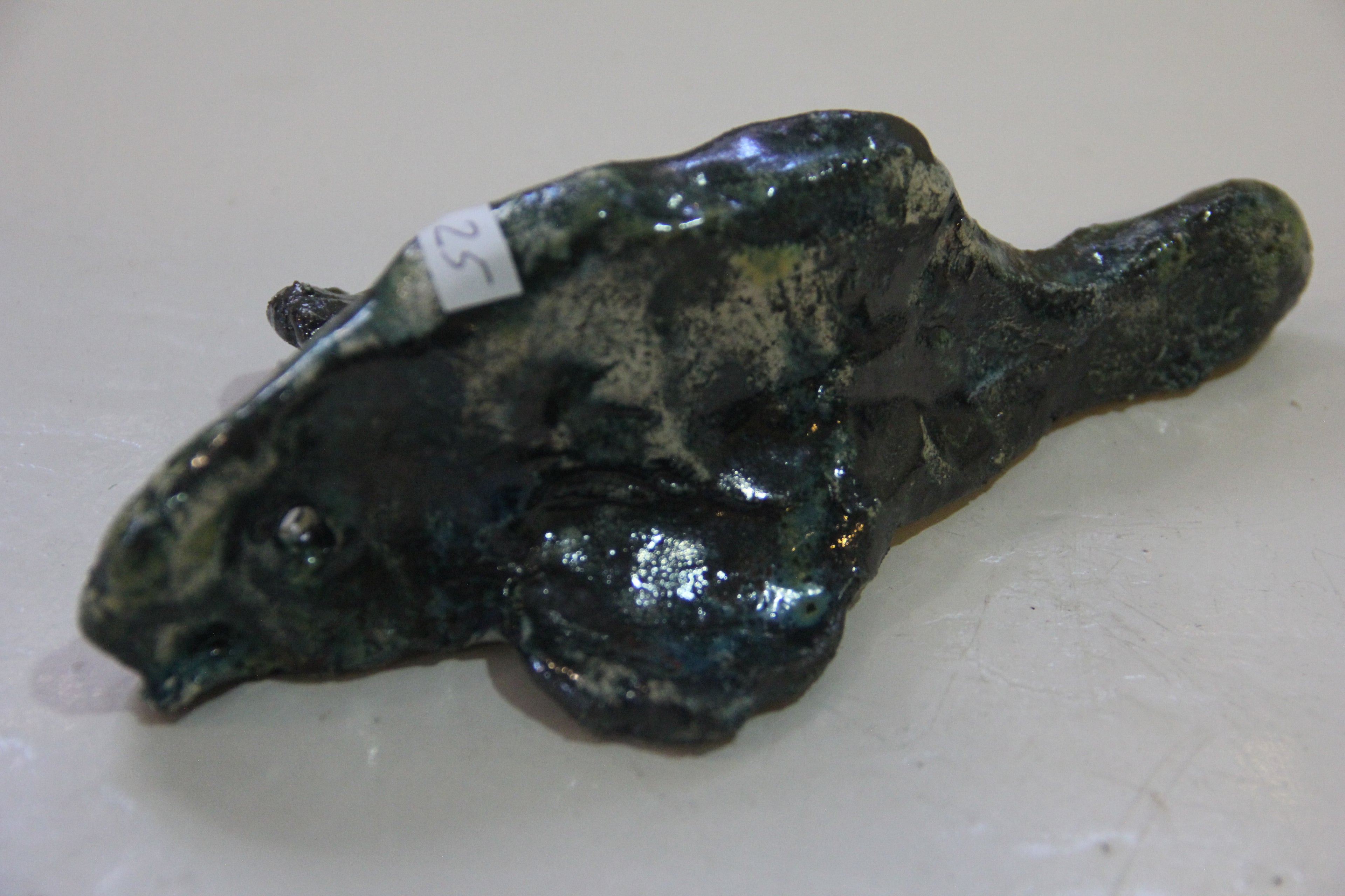 Peixe corcunda